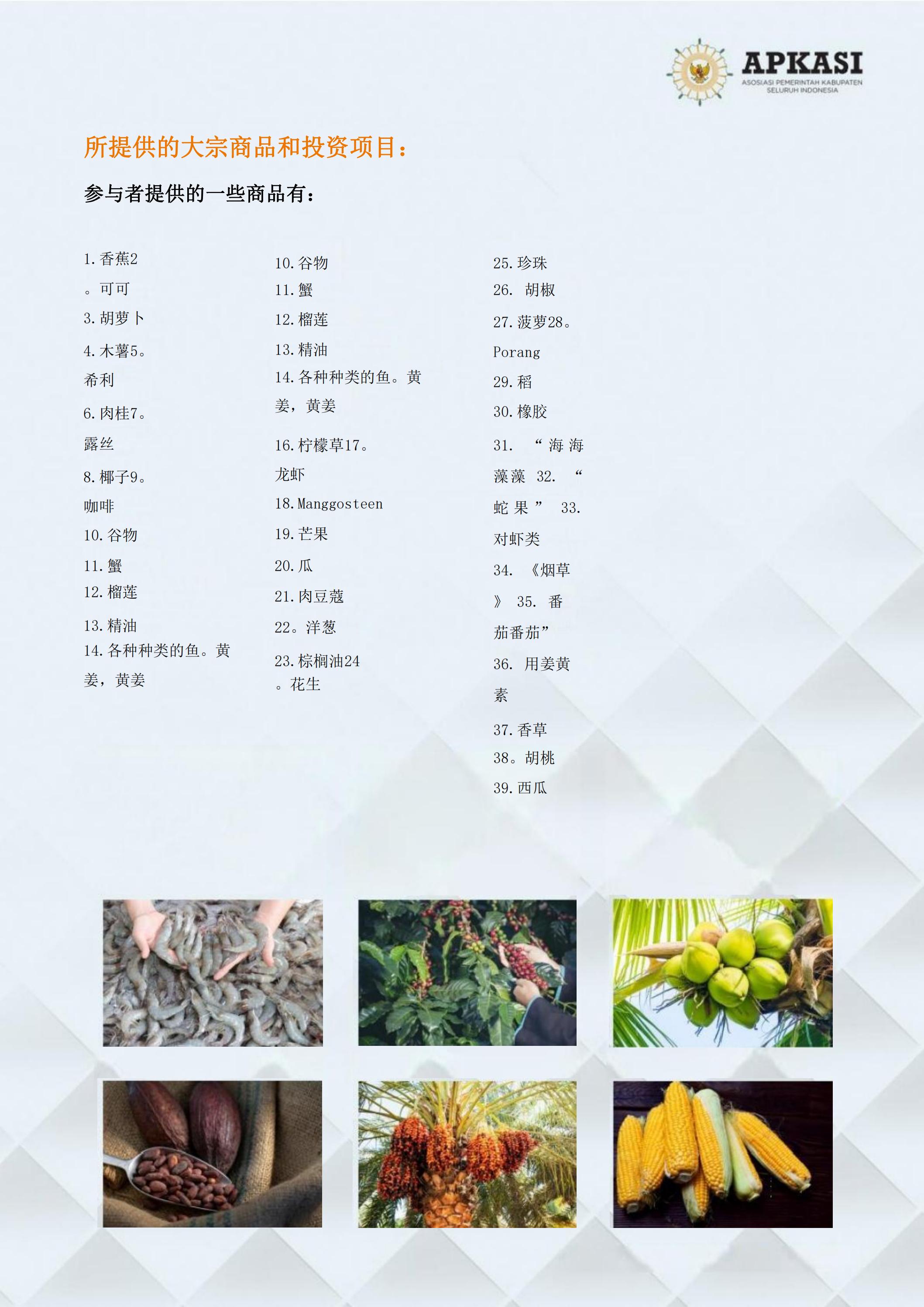 邀請(qǐng)參加2024印度尼西亞雅加達(dá)世博會(huì)通知_06.jpg